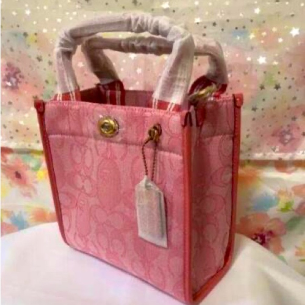 Brand New Never Used  Pink BAPE x Coach Canvas Tote 22